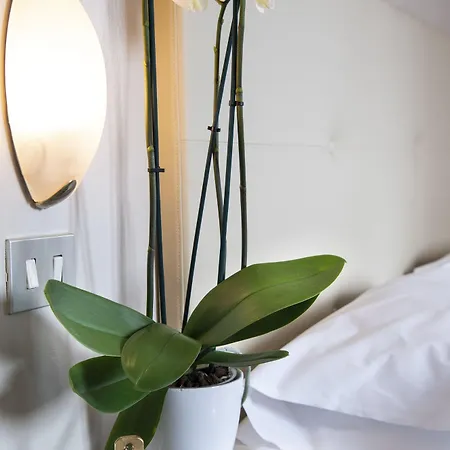 Hotel Ariston & Montecatini Terme